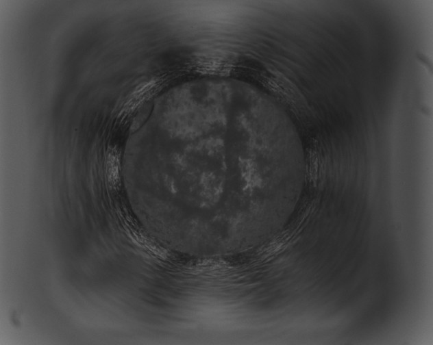 X0000101461154200807141300