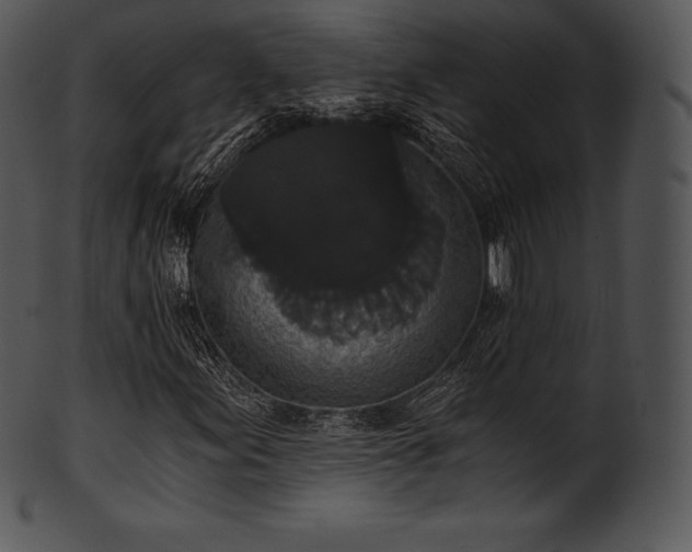 X0000101461155200807141300