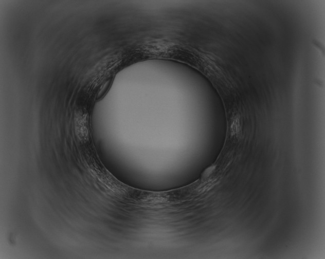 X0000101461156200807141300