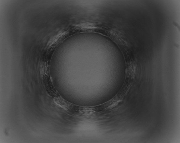 X0000101461157200807141300