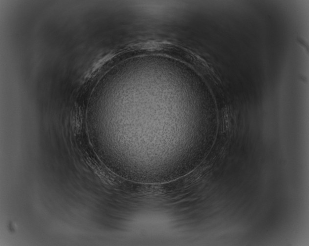 X0000101461158200807141300