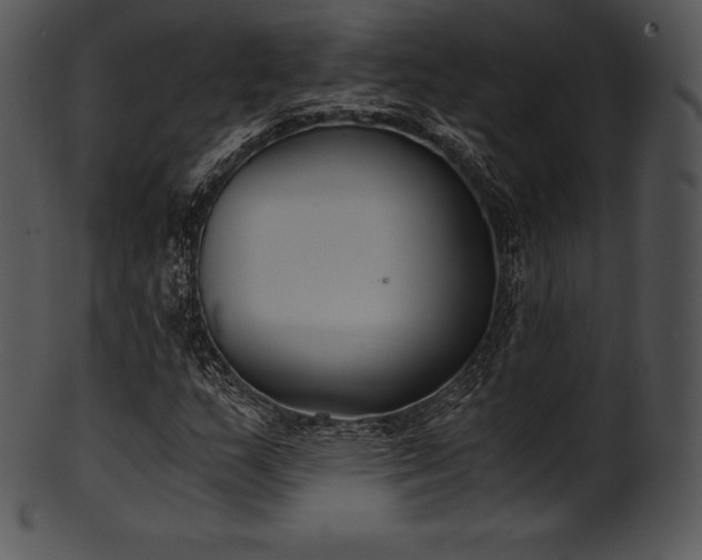X0000101461159200807141300