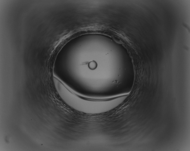 X0000101461160200807141300