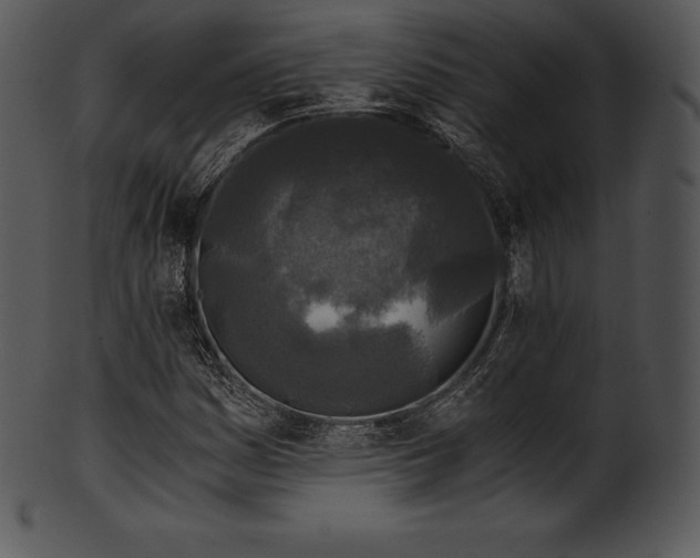 X0000101461161200807141300