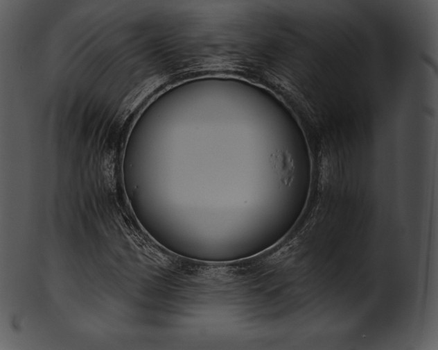X0000101461162200807141300