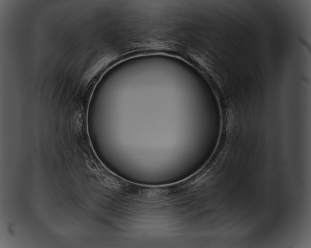 X0000101461163200807141300