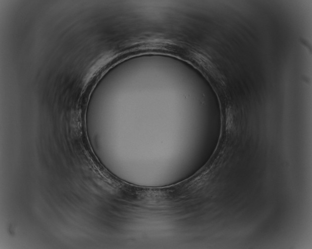 X0000101461164200807141300