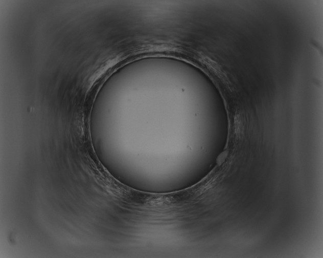 X0000101461165200807141300