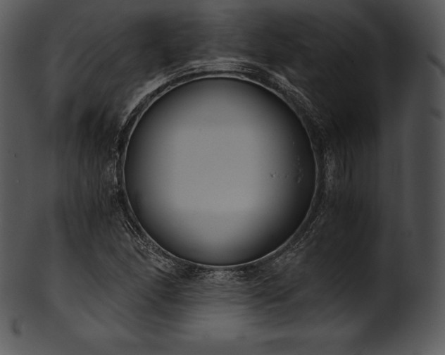 X0000101461166200807141300