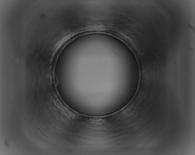 X0000101461168200807141300