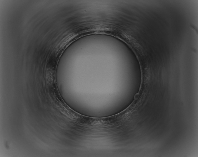 X0000101461169200807141300