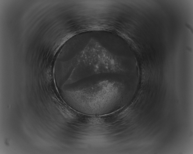 X0000101461170200807141300