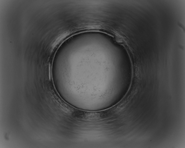 X0000101461171200807141300