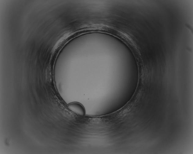 X0000101461172200807141300