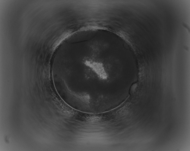 X0000101461173200807141300