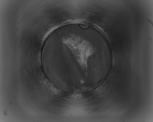 X0000101461174200807141300