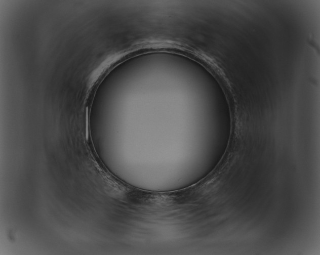 X0000101461175200807141300