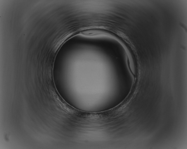 X0000101461177200807141300