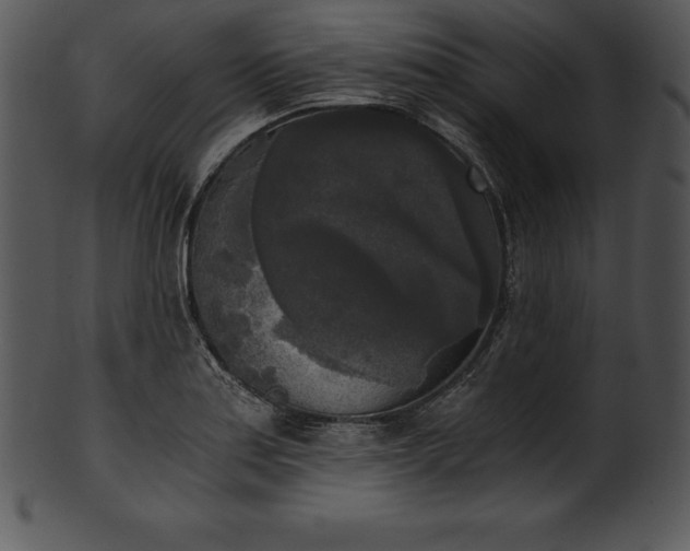 X0000101461179200807141300