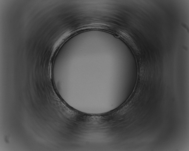 X0000101461180200807141300