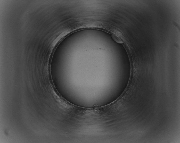 X0000101461181200807141300
