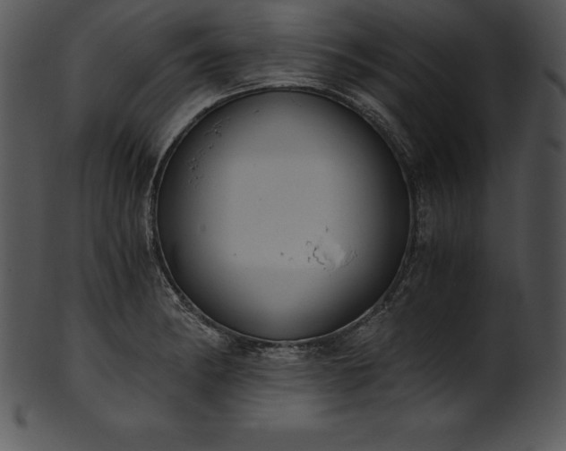 X0000101461182200807141300