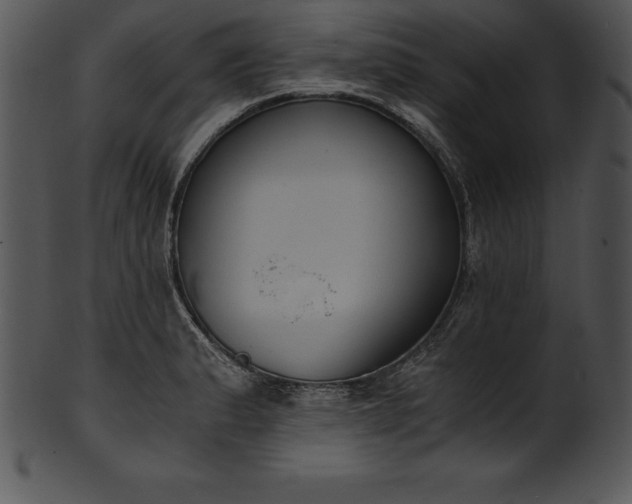 X0000101461183200807141300