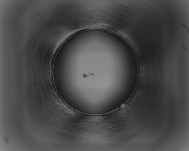 X0000101461184200807141300