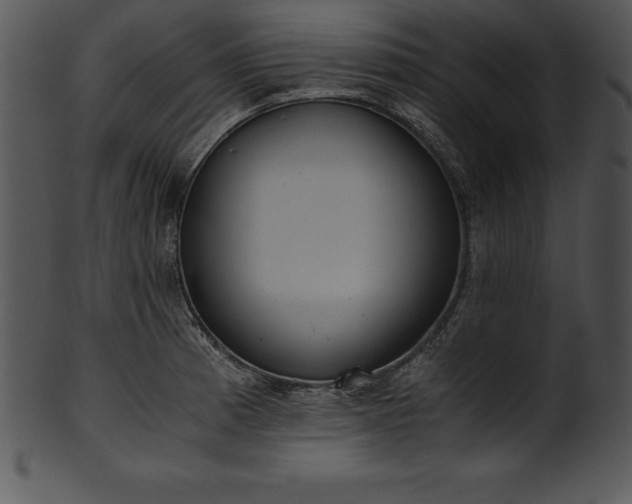 X0000101461185200807141300