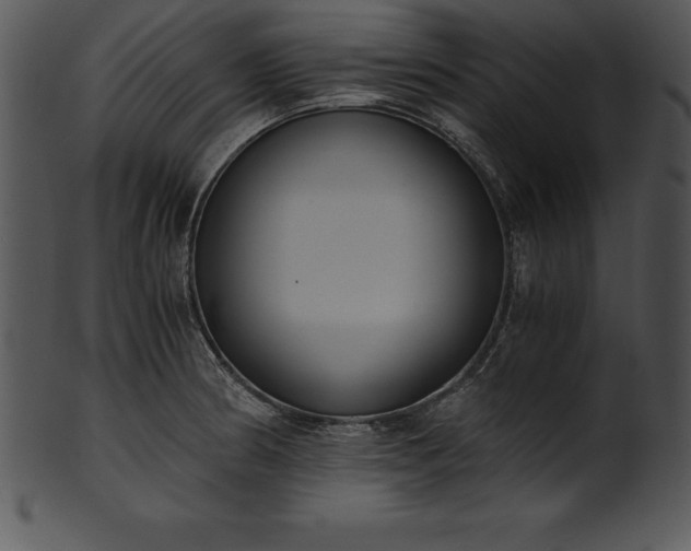 X0000101461186200807141300