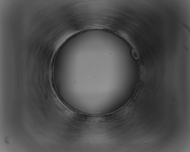 X0000101461187200807141300