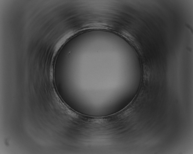 X0000101461188200807141300