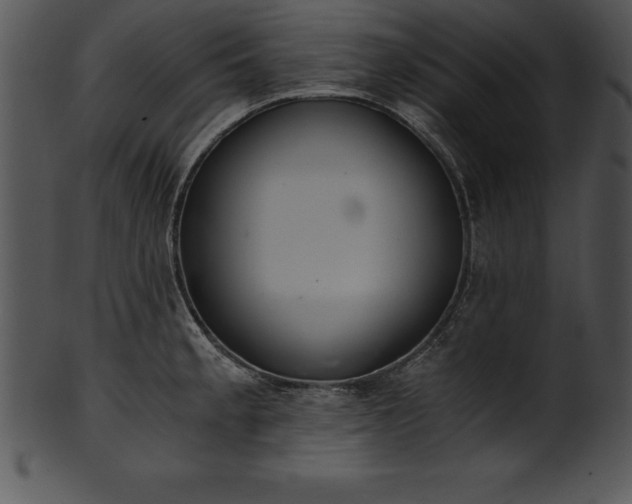 X0000101461189200807141300