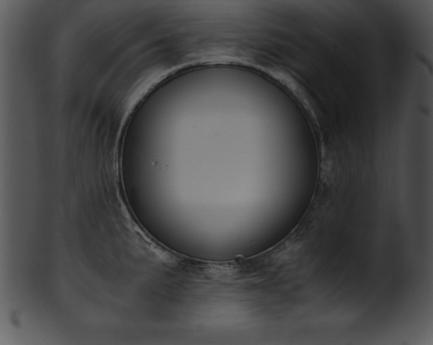 X0000101461191200807141300