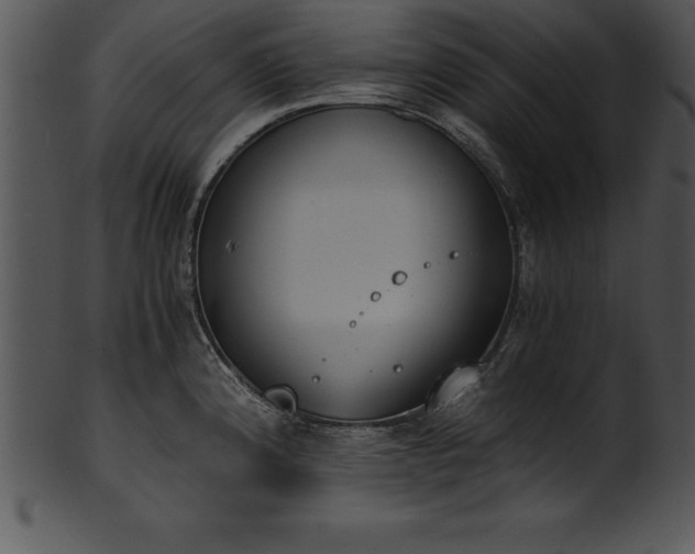 X0000101461192200807141300