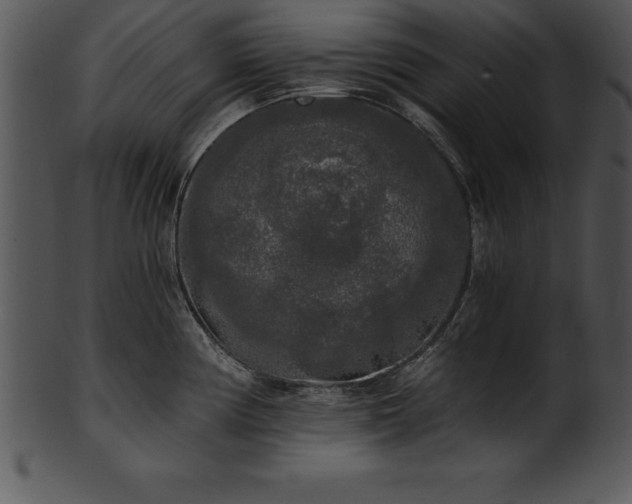 X0000101461194200807141300