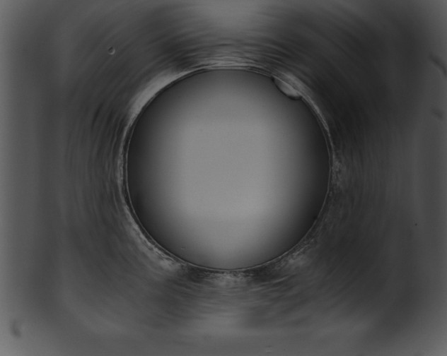 X0000101461195200807141300