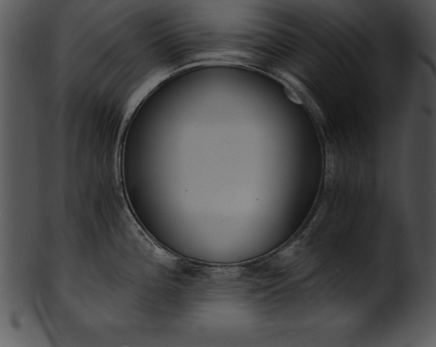 X0000101461196200807141259