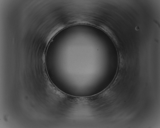 X0000101461198200807141259