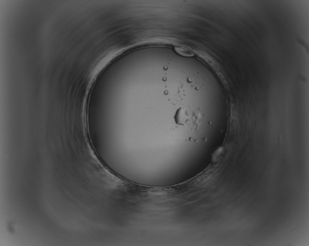 X0000101461199200807141259
