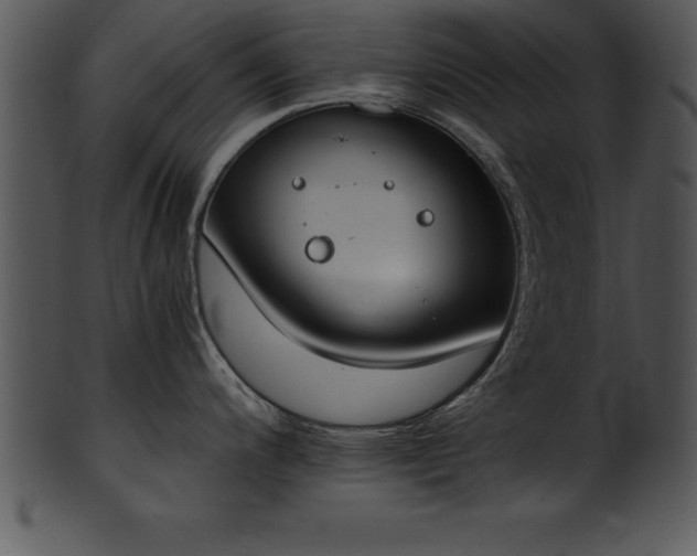 X0000101461200200807141259