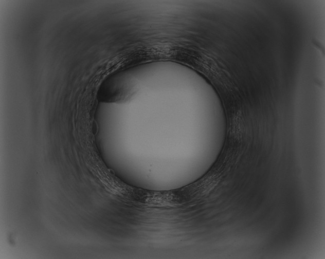 X0000101461201200807141259
