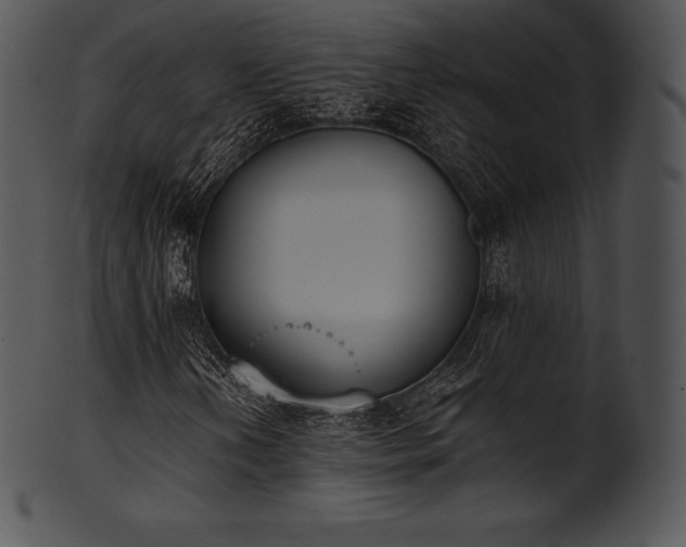 X0000101461202200807141259