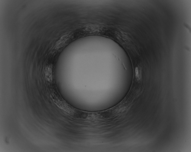 X0000101461203200807141259