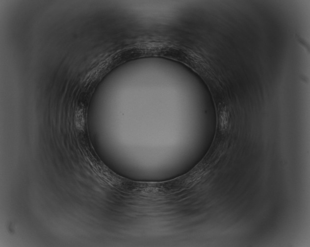 X0000101461204200807141259