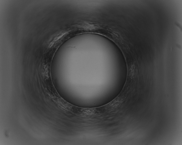 X0000101461205200807141259