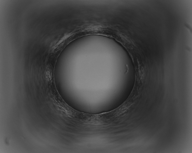 X0000101461206200807141259