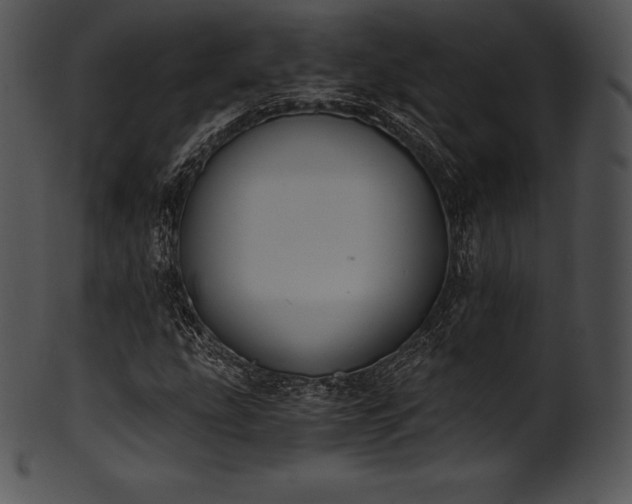 X0000101461207200807141259
