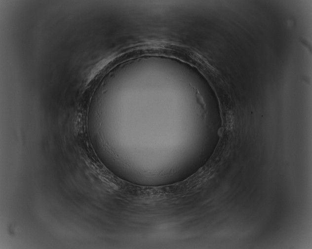 X0000101461208200807141259
