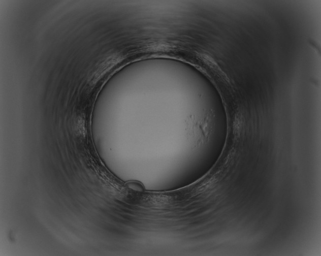 X0000101461209200807141259